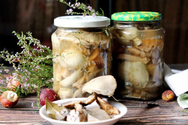 russula marynowana na zimę